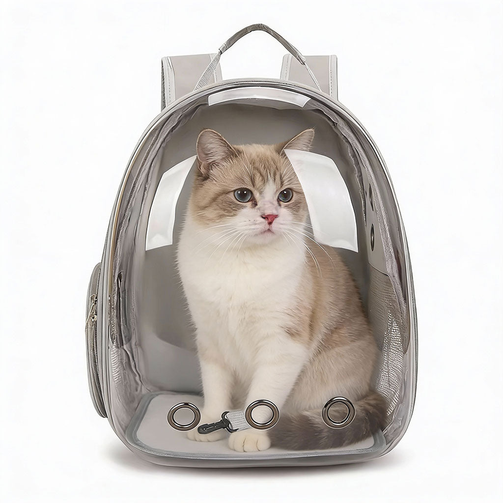 Sac à Dos de Transport pour Chat et Animaux de Compagnie – محفظة ظهر للحيوانات الأليفة
